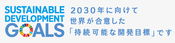 2030年に向けて世界が合意した「持続可能な開発目標」です