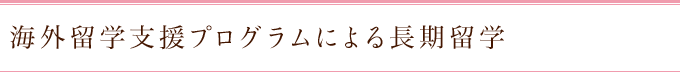 海外留学支援プログラムによる長期留学