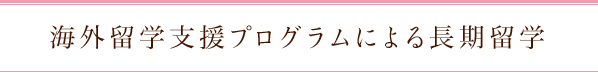 海外留学支援プログラムによる長期留学